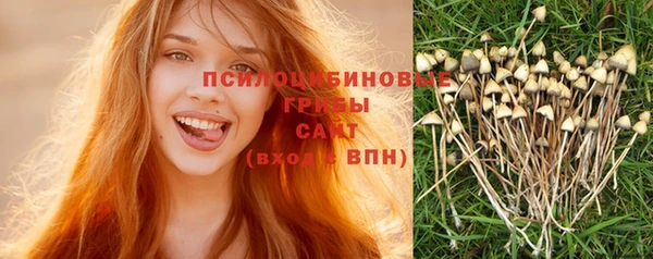 бошки Арсеньев