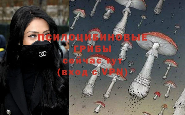 экстази Алексин