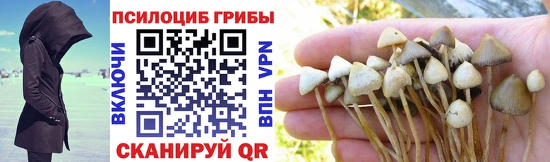 Псилоцибиновые грибы мицелий  закладки  Электрогорск 