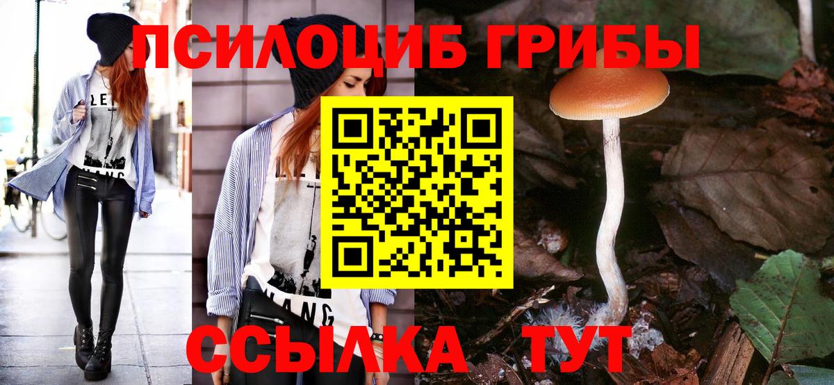 Галлюциногенные грибы мицелий  Вход с VPN  Электрогорск 