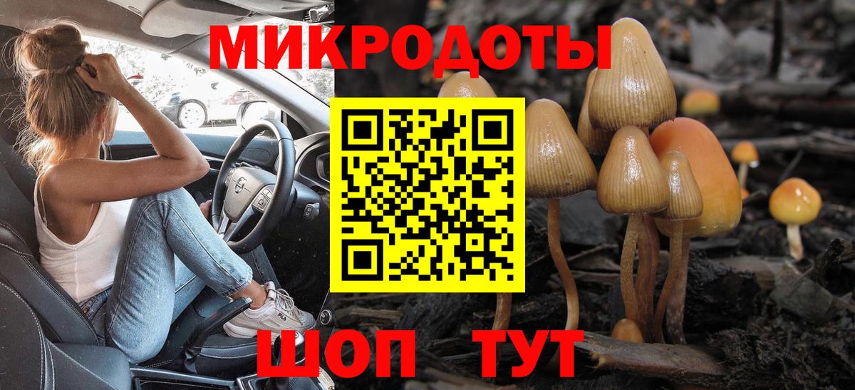Псилоцибиновые грибы Psilocybe Электрогорск